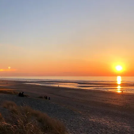 Basecamp Connections Deluxe Beach Edition